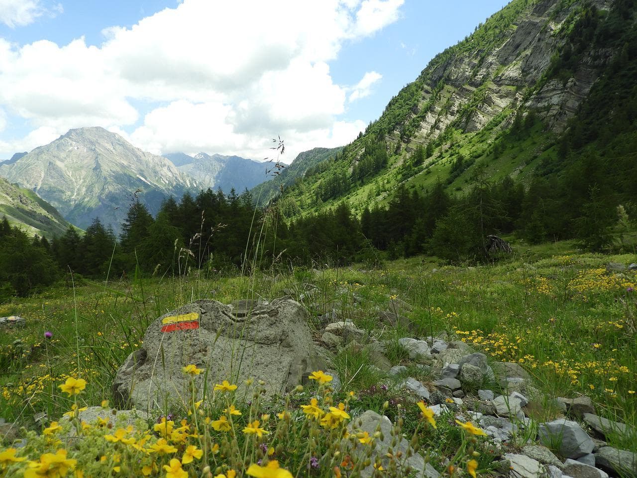 Krajina hor s turistickou značkou. Zelená údolí, žluté květy, skály a lesy. Aktivní dovolená v přírodě.