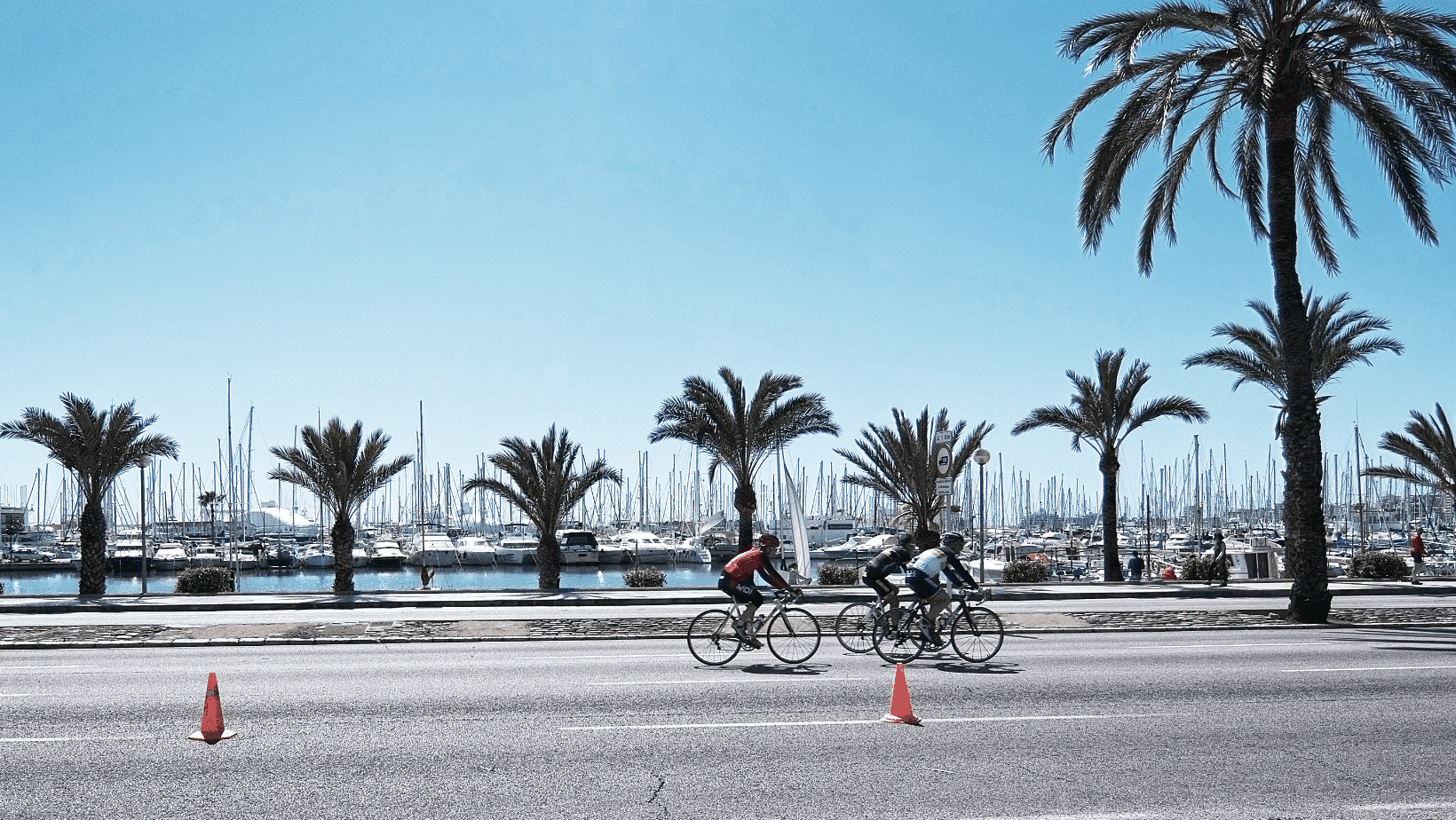 Promenáda Paseo Maritimo, Palma de Mallorca. Cyklisté na pobřeží s palmami a přístavem.