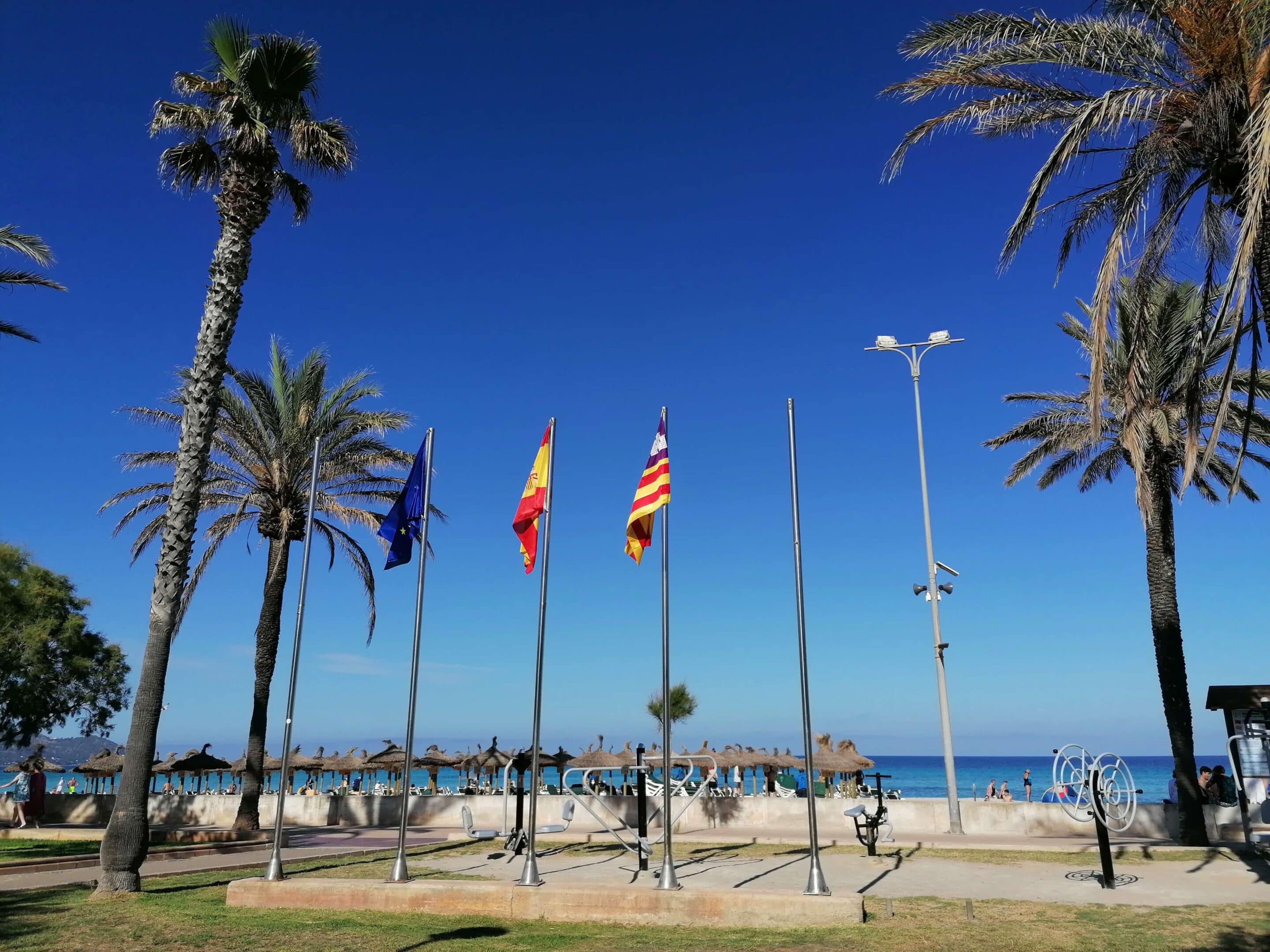 Mallorca: Pláž s palmami, vlajkami EU, Španělska a Baleárských ostrovů. Dovolená na Baleárských ostrovech.