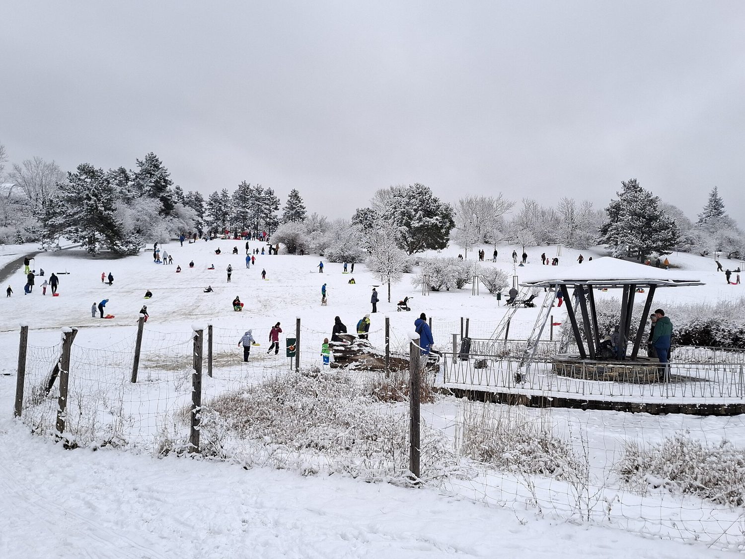 Děti a rodiče bobují na zasněženém svahu Kraví hory v Brně