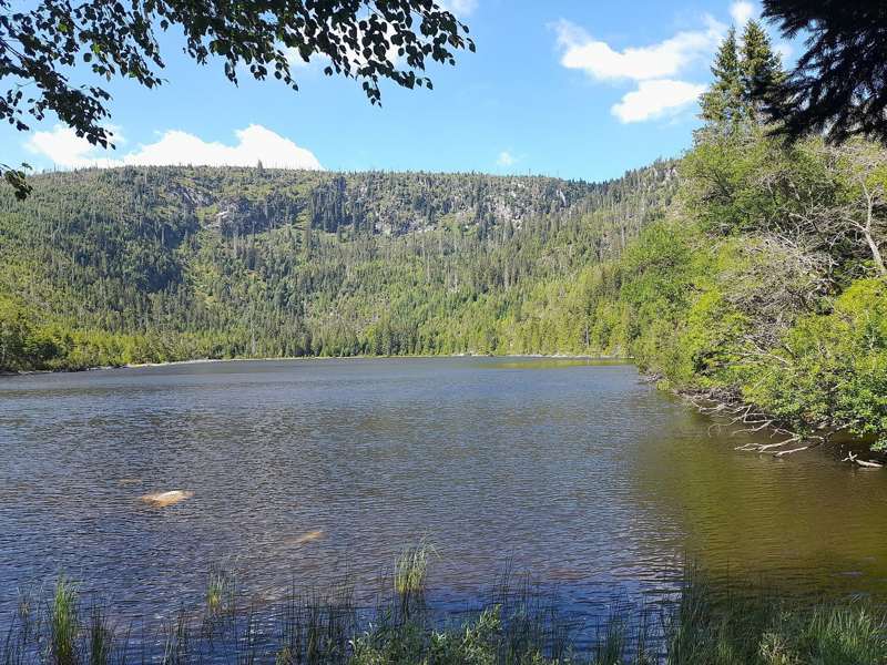Plešné jezero pod strmými svahy Plechého na Šumavě