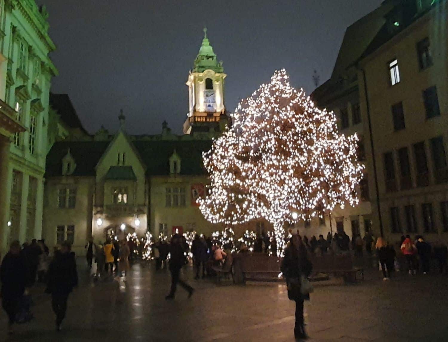 Osvětlený strom na Primaciálnom námestí v Bratislavě s věží Staré radnice