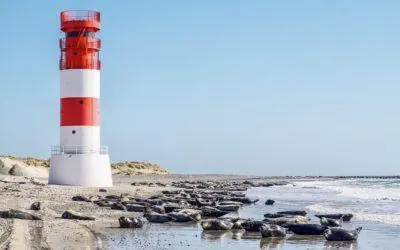Helgoland – Německý ostrov plný přírodních krás